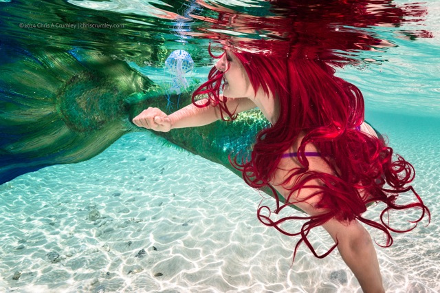 Ariel gazing at a jellyfish